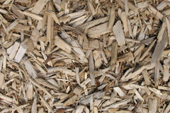 biomass boilers Llanddewi Fach